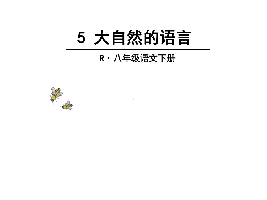 2020部编版八年级语文下册5-大自然的语言ppt公开课课件(精品).ppt_第3页