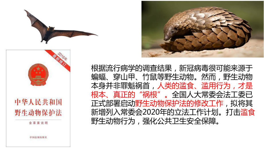 2020—2021学年部编版道德与法治七年级下册91生活需要法律课件.pptx_第1页