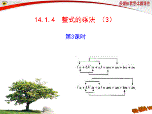 1414整式的乘法第3课时课件.ppt