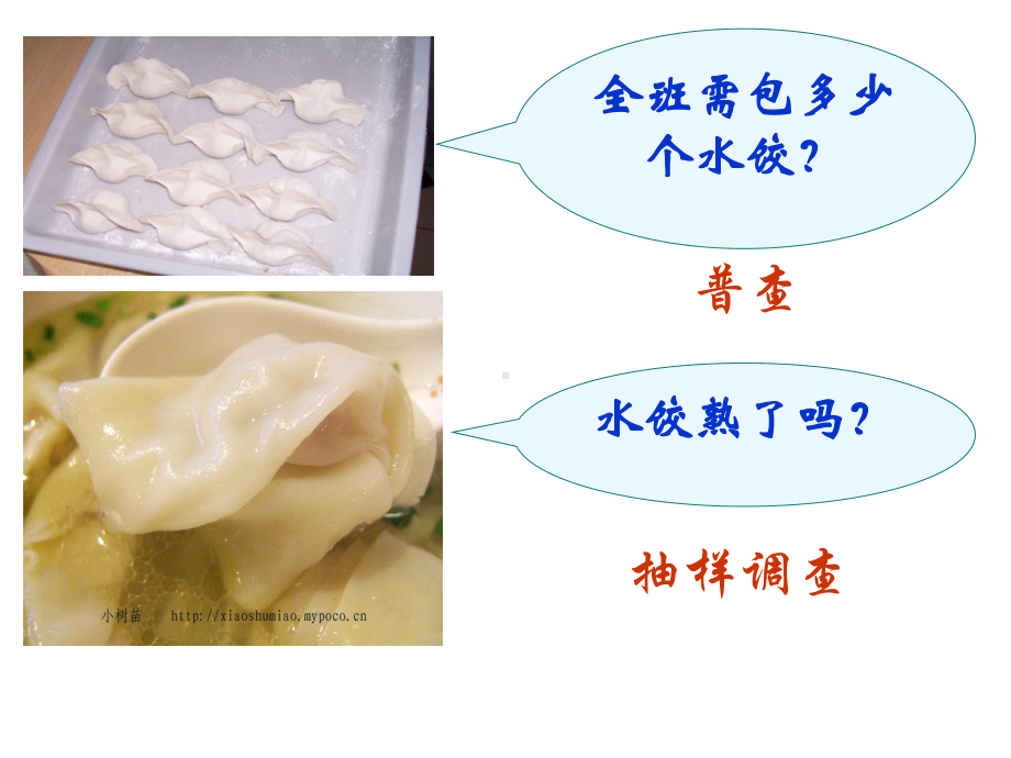 7.1普查与抽样调查课件ppt.ppt_第2页