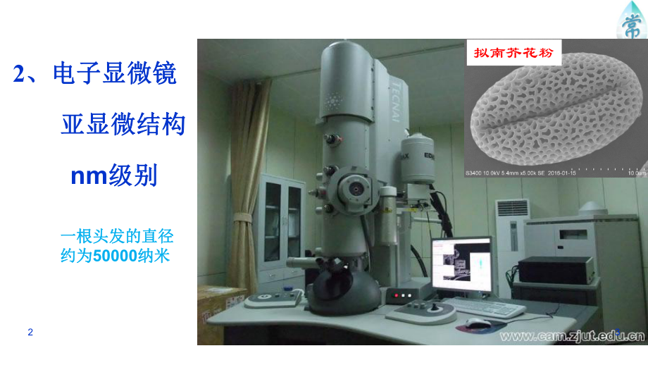 12细胞的多样性和统一性课件（新教材）人教版高中生物必修一(共37张).pptx_第3页