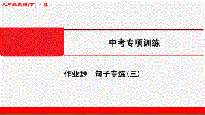 2020年春江苏启东九年级英语下(R)中考专项训练作业课件29.ppt