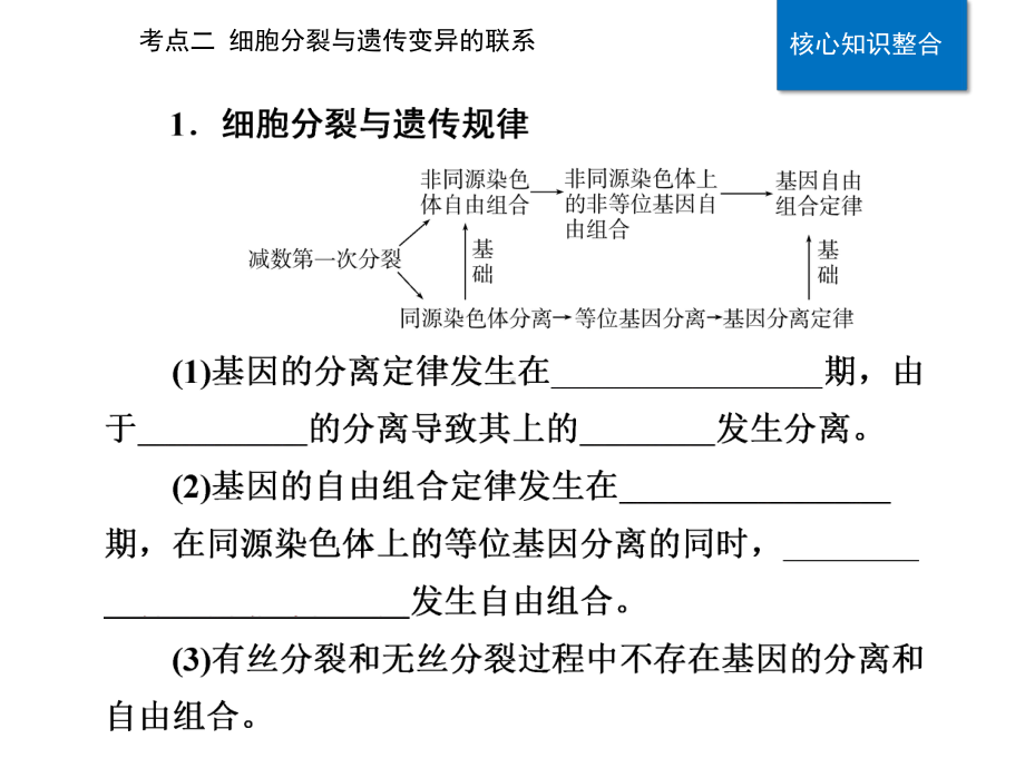 2021高考生物专题三细胞的增殖与生命历程考点二细胞分裂与遗传变异的联系课件.pptx_第2页