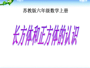 (苏教版)数学六年级上册《长方体和正方体的认识》课件.ppt