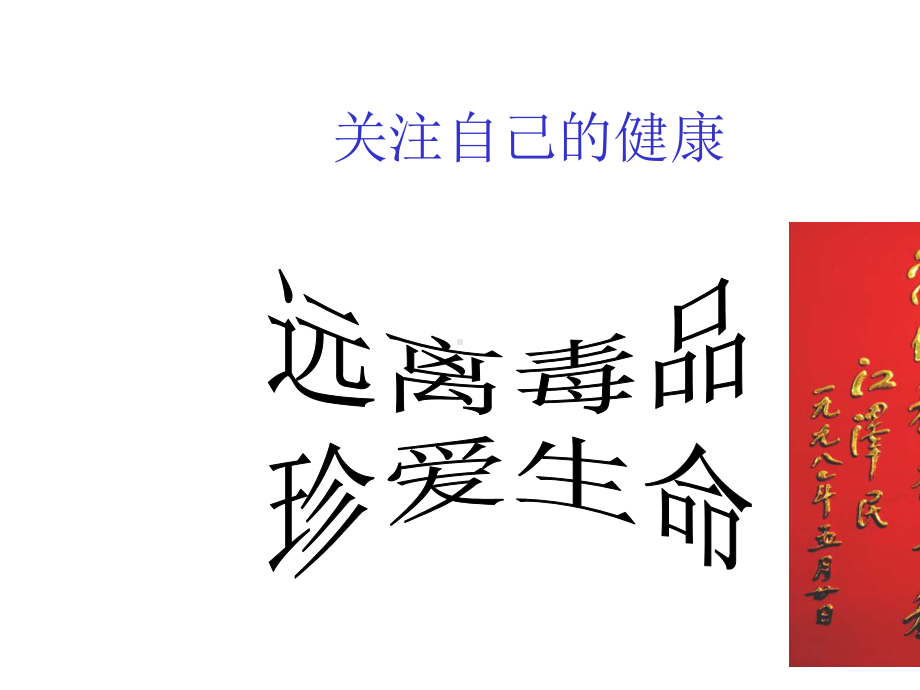 2020-2021学年中小学主题班会《远离毒品-珍爱生命》.pptx_第2页