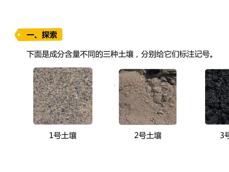 3.7比较不同的土壤课件.pptx_第2页