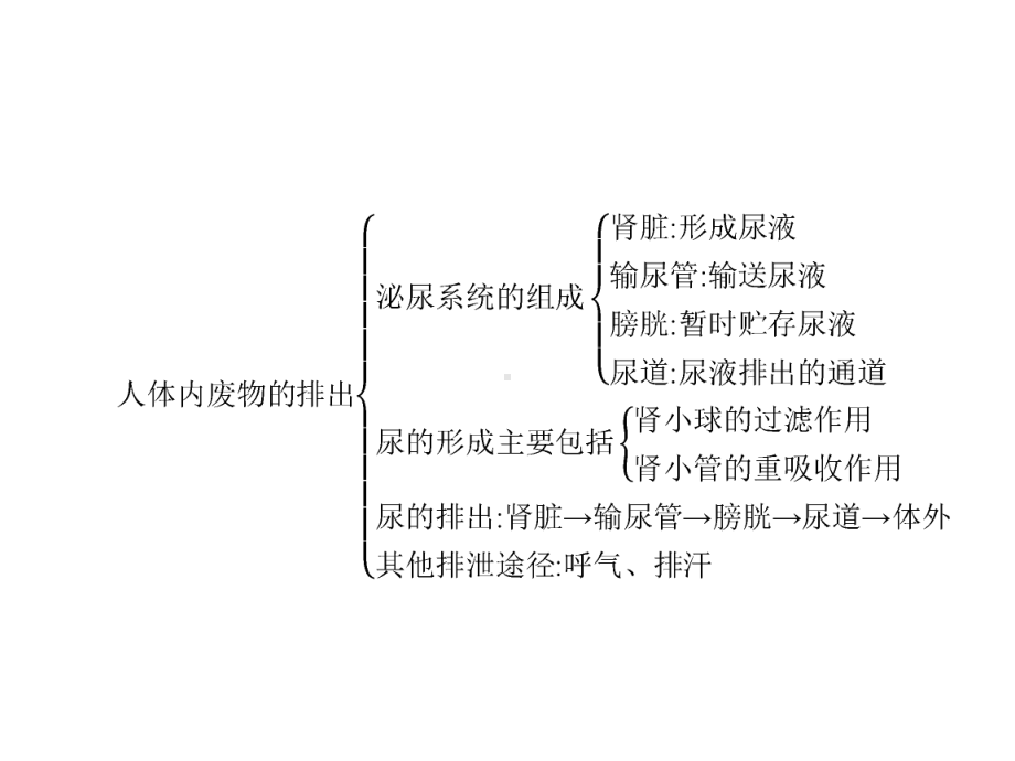 (新人教版)七年级生物下册第四章人体内物质的运输第五章人体内废物的排出整合课件.pptx_第3页