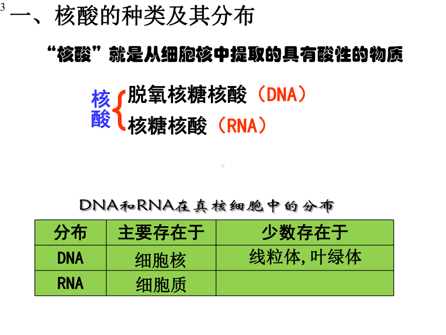 2.5-核酸是遗传信息的携带者-课件-（新教材）人教版高中生物必修一(共15张PPT).pptx_第3页