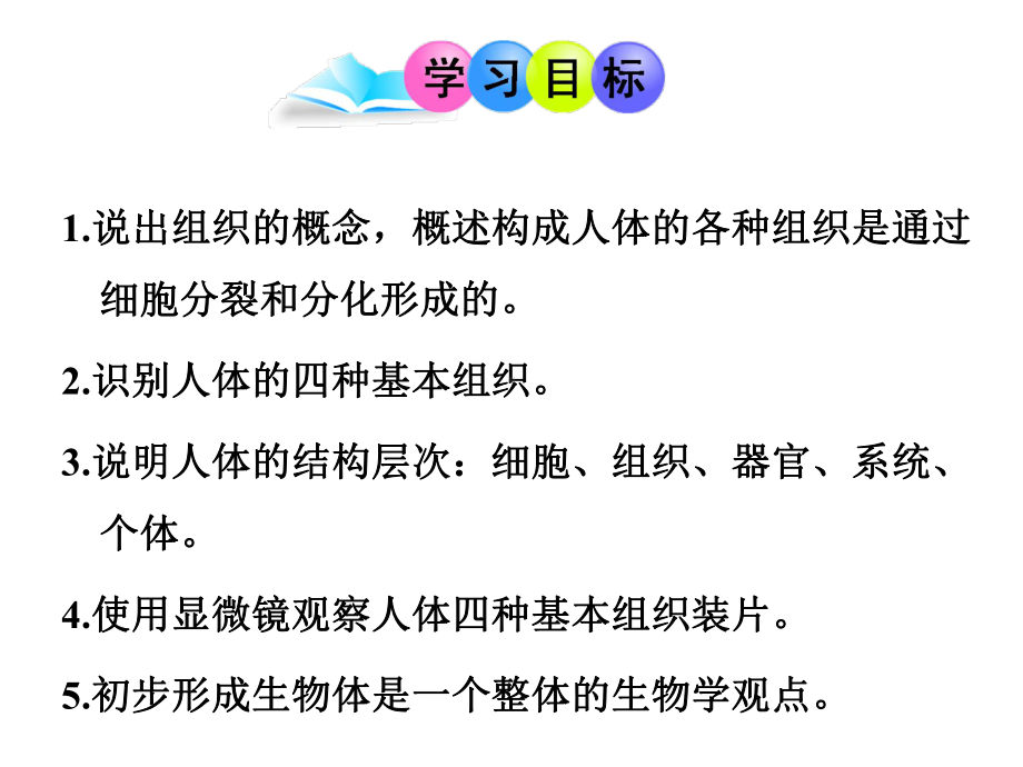 (名师整理)生物七年级上册第二单元第2章第2节《动物体的结构层次》省优质课获奖课件.ppt_第2页