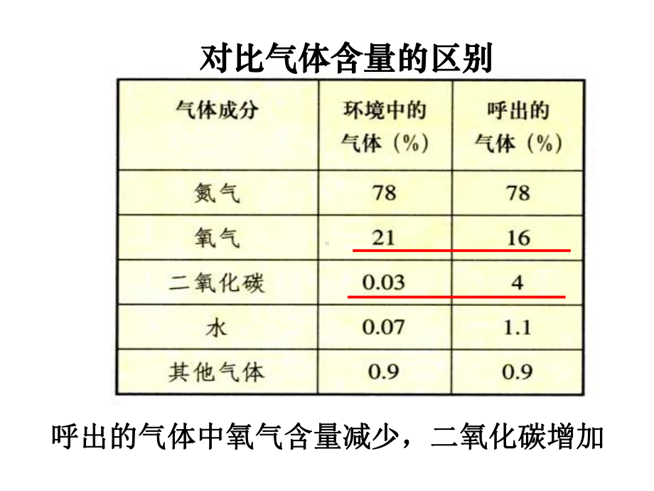 (最新)生物七年级下册《发生在肺内的气体交换》省优质课一等奖课件.ppt_第3页