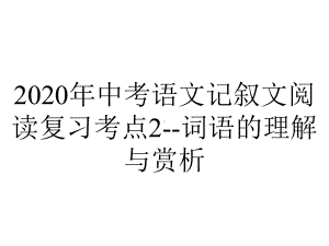 2020年中考语文记叙文阅读复习考点2-词语的理解与赏析.pptx