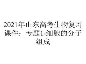 2021年山东高考生物复习课件：专题1-细胞的分子组成.pptx