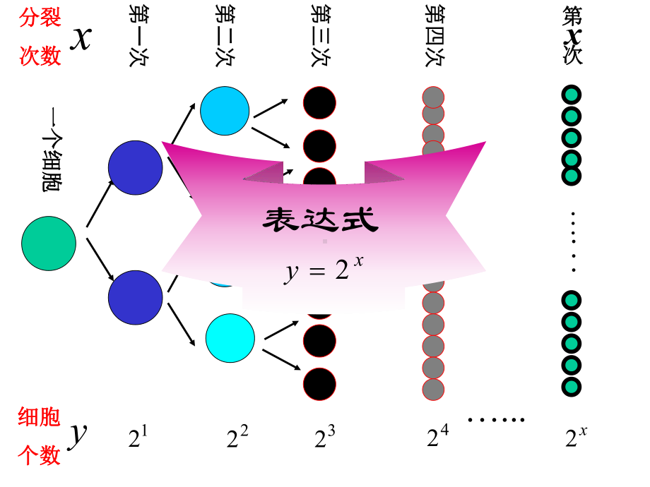 2.1.2指数函数及其性质(公开课).ppt_第3页