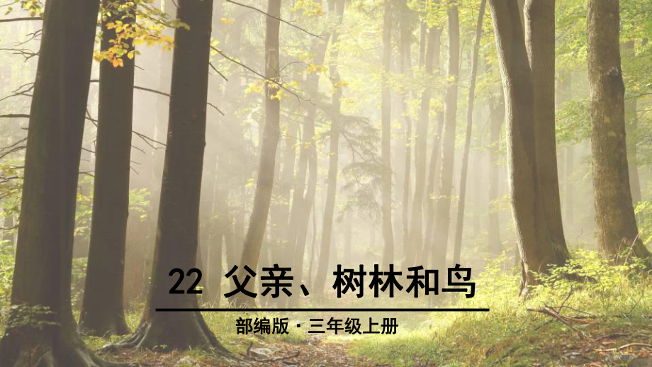 3年级上册语文课件22父亲、树林和鸟人教(部编版)(共37张).ppt_第1页