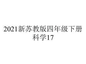 2021新苏教版四年级下册科学17.环境变化以后-课件.ppt