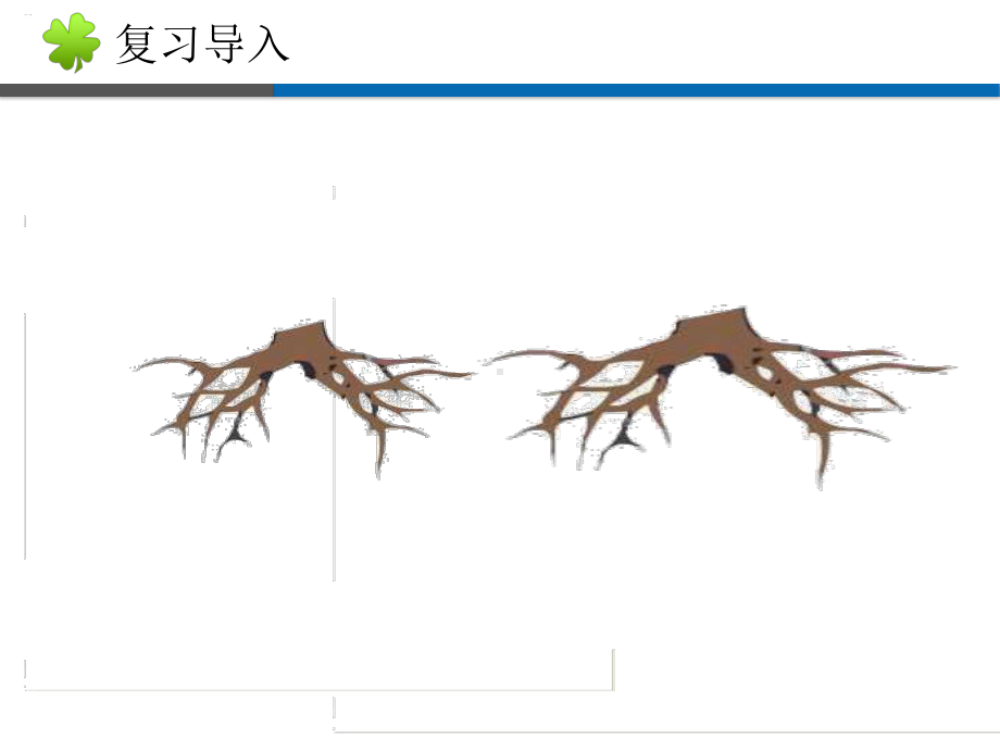 (完整版)《肱骨和股骨》教学课件.ppt_第2页