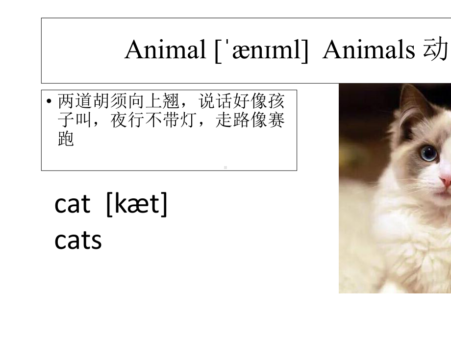 (译林版)4A-Unit-1-I-like-dogs-(Period-1)教学课件.ppt-(课件无音视频)_第2页