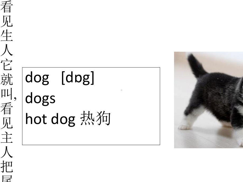 (译林版)4A-Unit-1-I-like-dogs-(Period-1)教学课件.ppt-(课件无音视频)_第3页