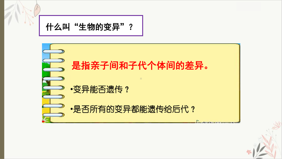 71基因突变和基因重组教学课件2021届高考一轮复习生物.ppt_第2页