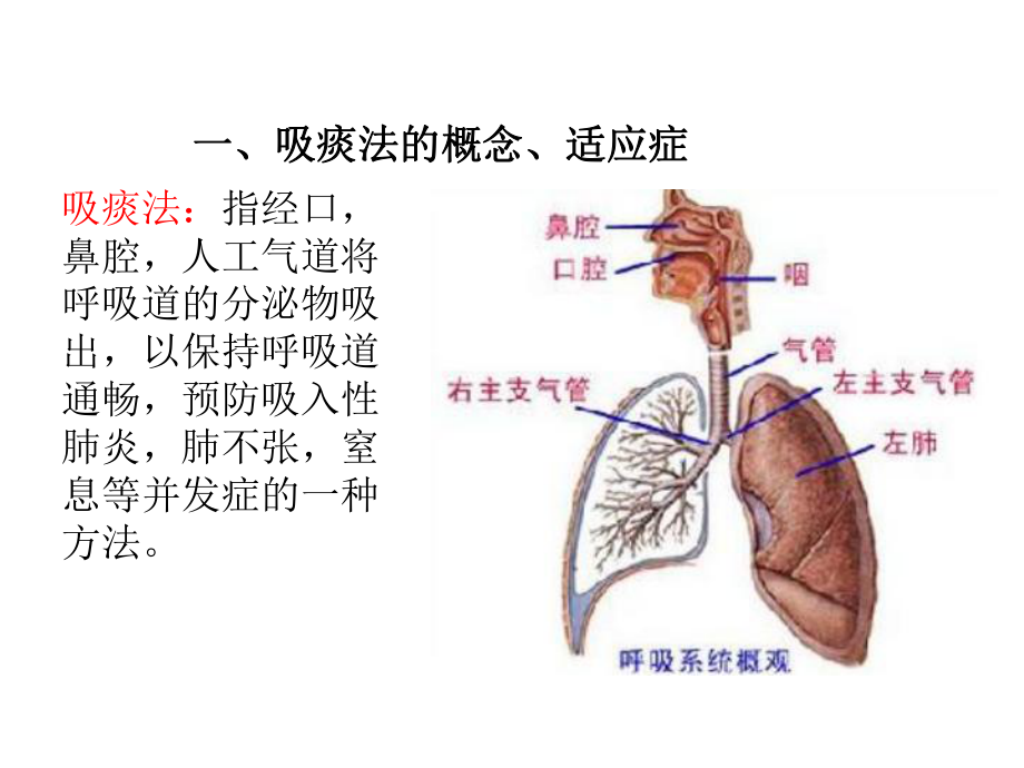 2021年经口或鼻吸痰术年精品资料PPT.pptx_第3页