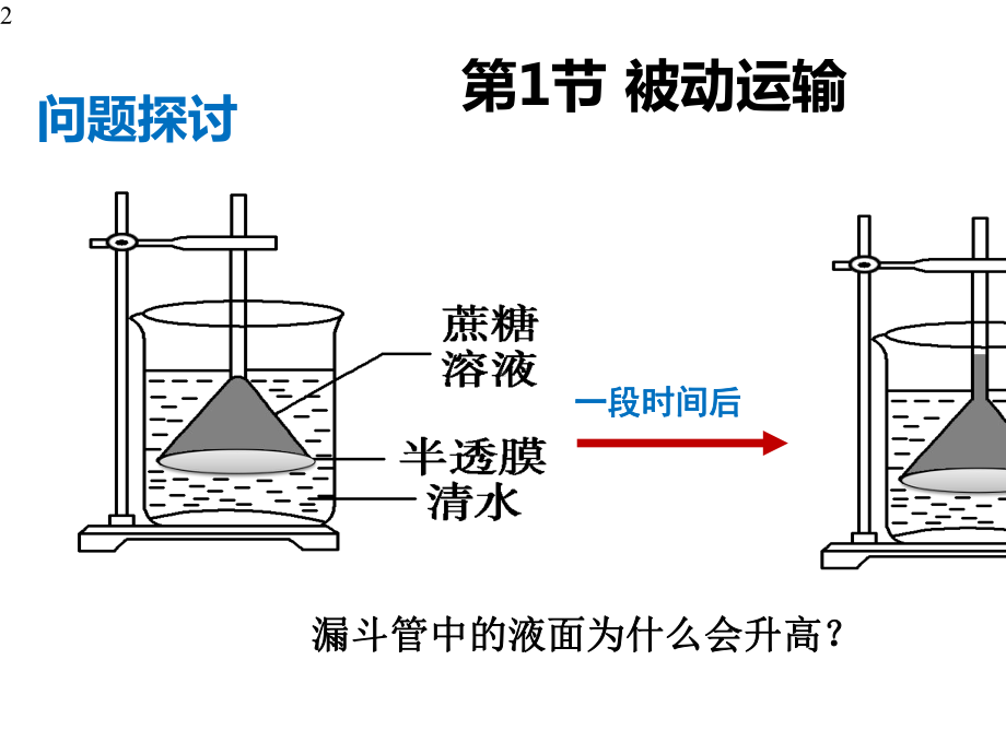 4.1-被动运输-课件（新教材）人教版高中生物必修一(共26张PPT).pptx_第2页