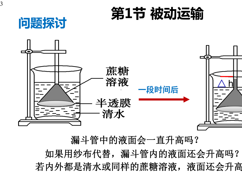 4.1-被动运输-课件（新教材）人教版高中生物必修一(共26张PPT).pptx_第3页