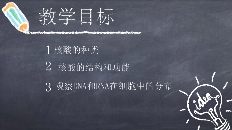 25核酸是遗传信息的携带者课件（新教材）人教版高中生物必修一(共30张).pptx_第2页