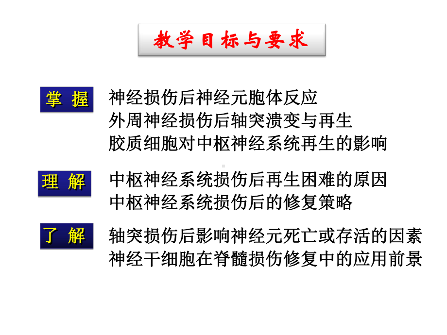 (完整)脑损伤修复与再生ppt.ppt_第3页