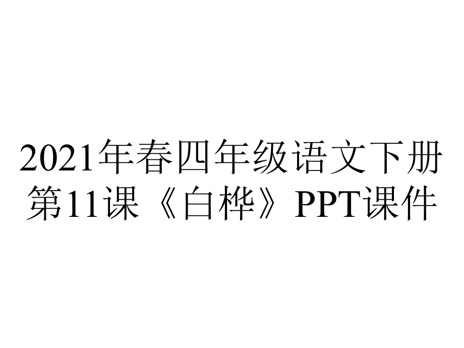 2021年春四年级语文下册第11课《白桦》课件.ppt_第1页