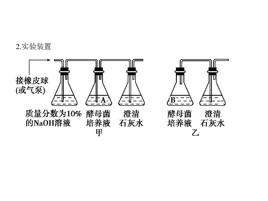 2021年江苏高考生物复习课件：专题5细胞呼吸.pptx_第2页