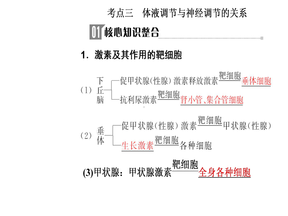 2020届高考生物二轮复习课件-专题八考点三-体液调节与神经调节的关系(共38张PPT).pptx_第3页