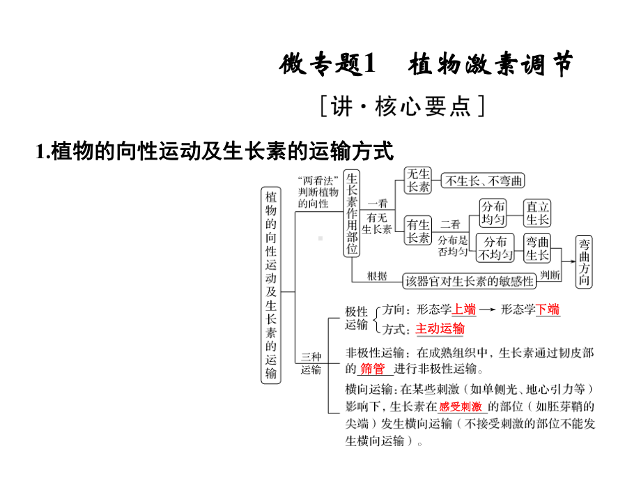 2020届-二轮复习-个体稳态与调节-课件-99-张-(全国通用).ppt_第3页