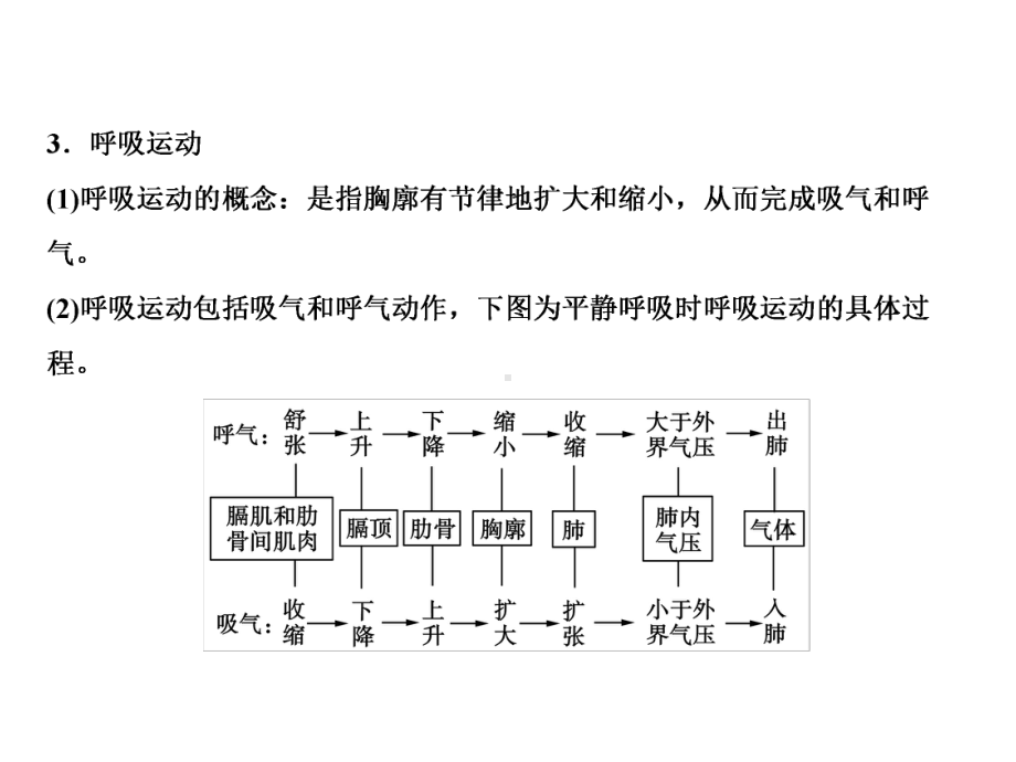 2020春人教版七年级生物下册课件：期末重难点突破(共38张PPT).ppt_第3页