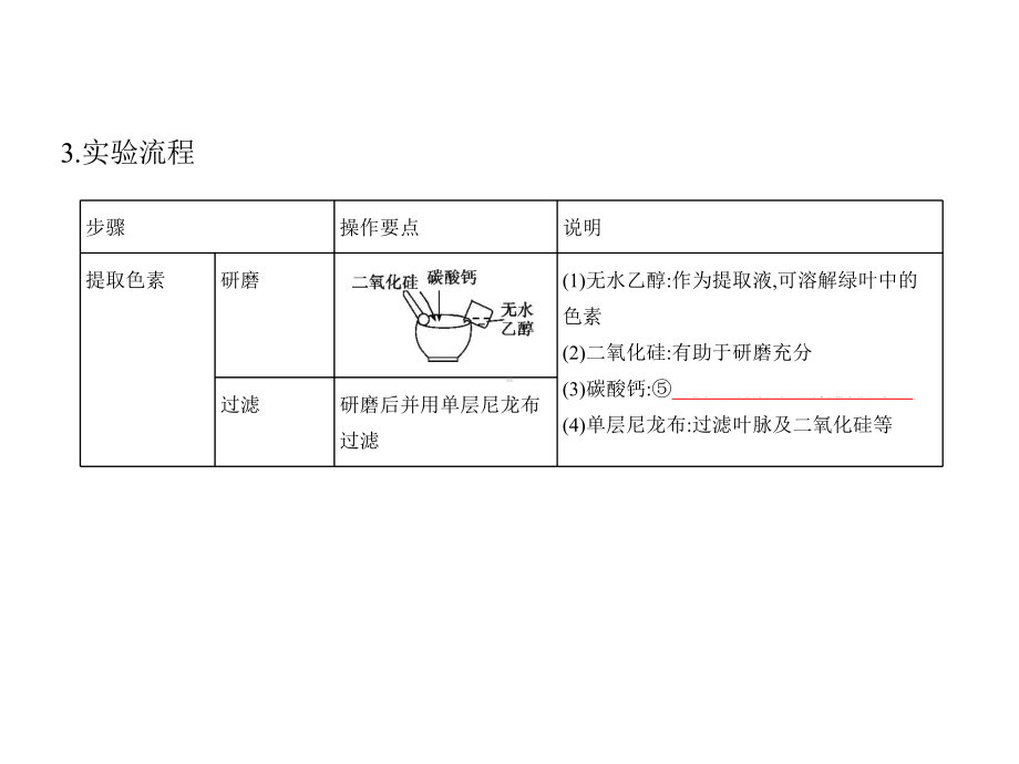 2021年北京新高考生物复习课件：专题6-光合作用.pptx_第3页