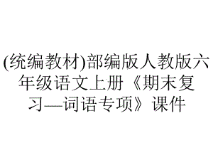 (统编教材)部编版人教版六年级语文上册《期末复习—词语专项》课件.pptx