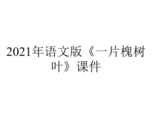 2021年语文版《一片槐树叶》课件.ppt