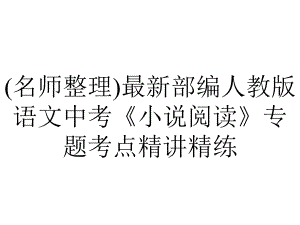 (名师整理)最新部编人教版语文中考《小说阅读》专题考点精讲精练.ppt