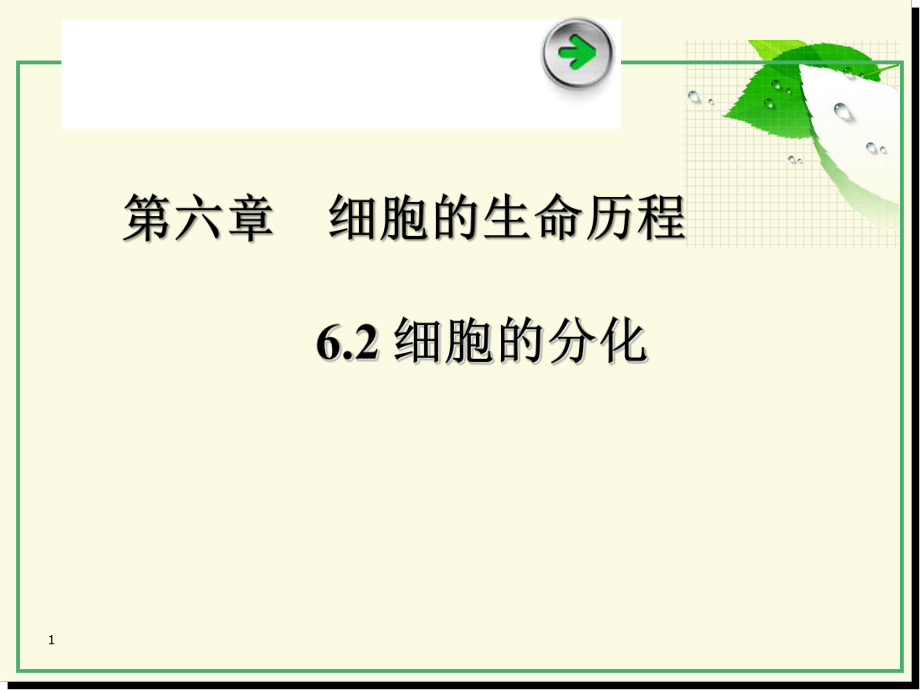 62细胞的分化课件.ppt_第1页