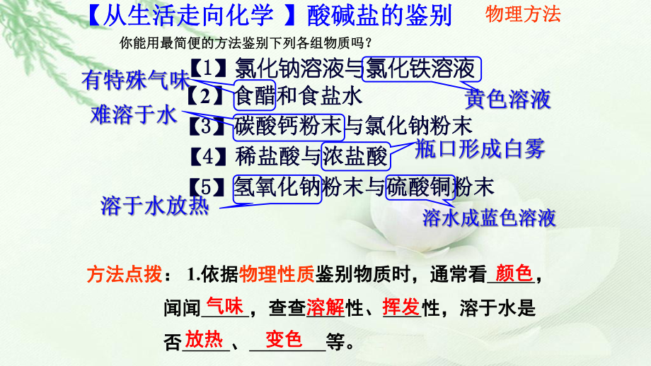 2020中考化学二轮复习酸碱盐的鉴别、鉴定和推断公开课教学课件共21张.ppt_第1页