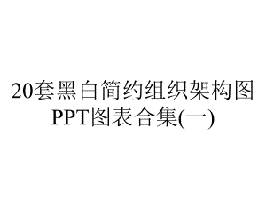 20套黑白简约组织架构图PPT图表合集(一).pptx