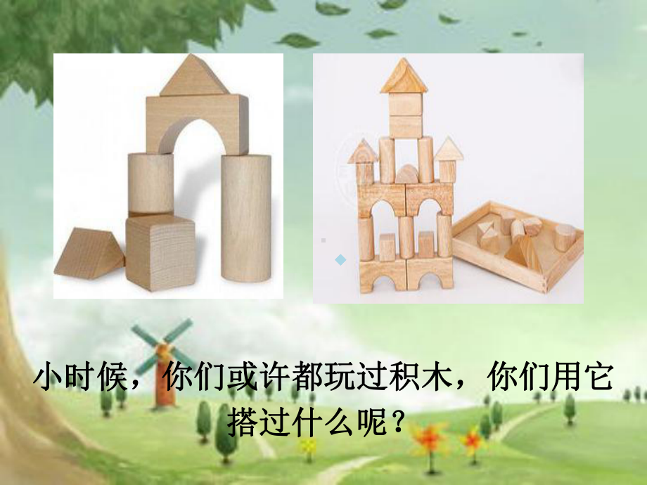 1.4搭建生命体积木课件.ppt_第3页