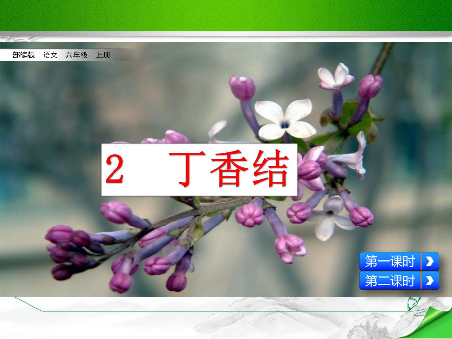 (统编教材)部编版人教版六年级语文上册《2丁香结》课件.pptx_第2页