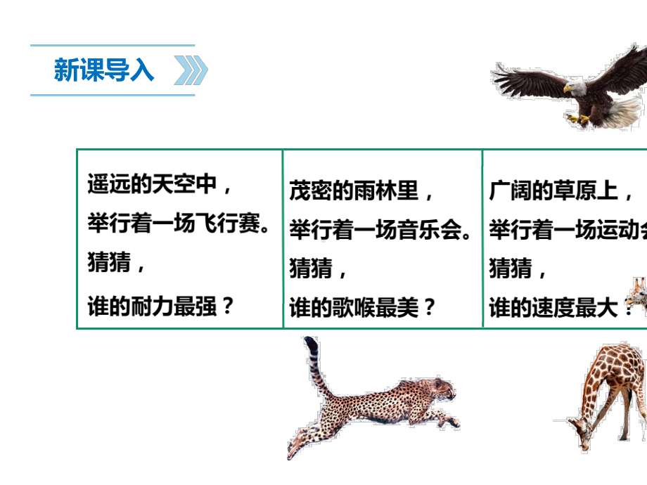 2020秋苏教版四年级上册科学1.1给动物分类优质教学课件.ppt_第2页