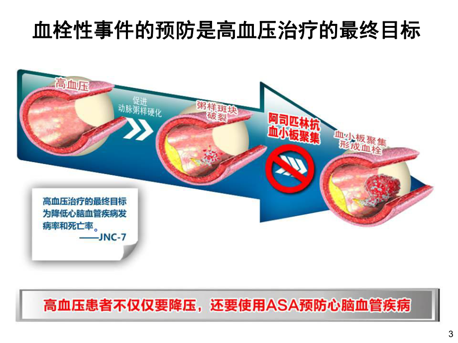 50岁以上高血压患者推荐使用.ppt_第3页