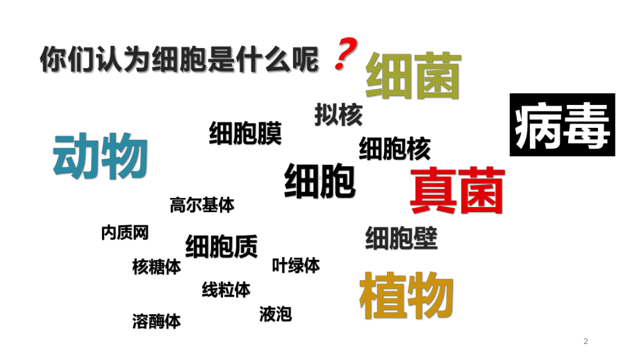 11细胞是生命活动的基本单位课件（新教材）人教版高中生物必修一(共44张).pptx_第2页