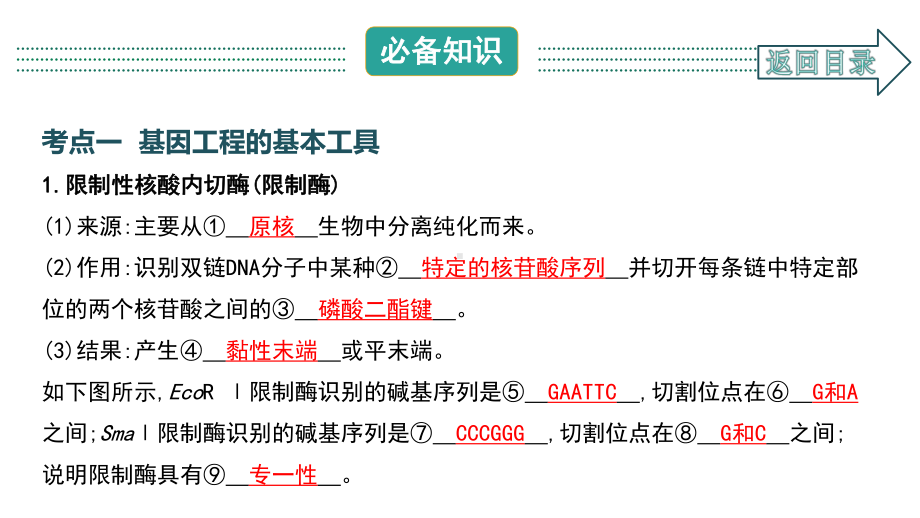 2021届一轮复习人教版基因工程课件(94张).ppt_第2页