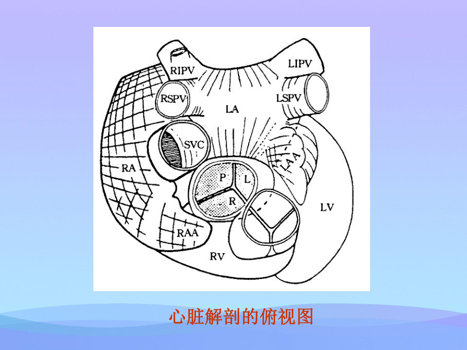 2021年房性心动过速的射频消融实用资料.ppt_第1页