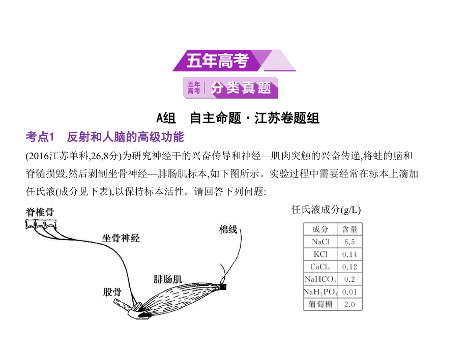 (江苏专用)2020届高考生物一轮复习专题18人和高等动物的神经调节课件.pptx_第2页