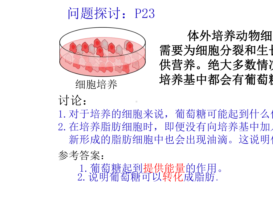 2020-2021高中生物必修一第二章第3节-细胞中的糖类和脂质.pptx_第2页