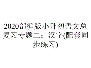 2020部编版小升初语文总复习专题二：汉字(配套同步练习).pptx